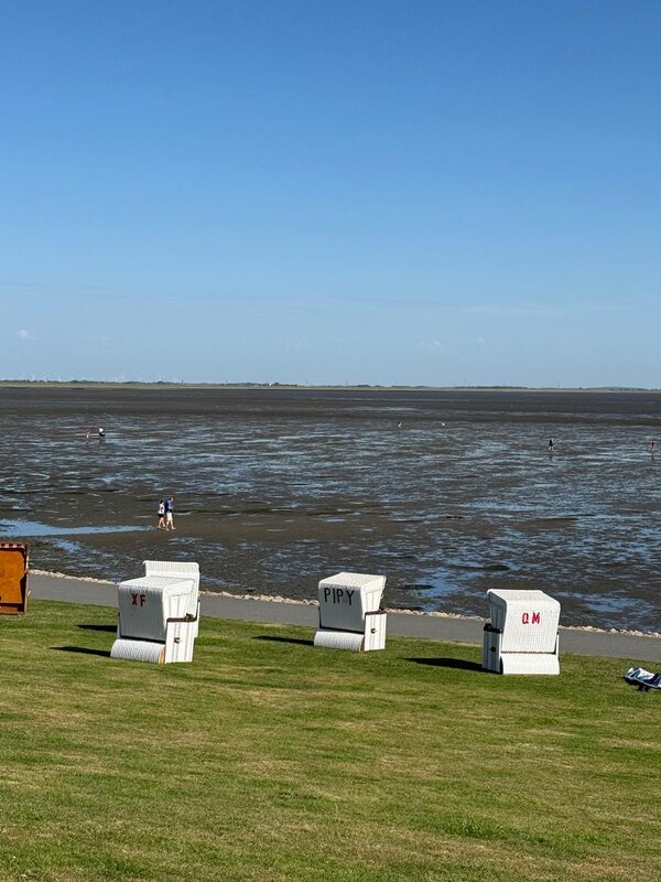 Strandkörbe auf der Deichwiese mit Blick auf das freiliegende Watt