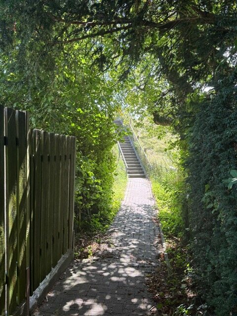 Schattiger Fußweg zwischen Hecken mit Treppe hinauf auf den Deich